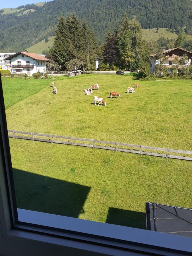Tirolerhaus Apartamento Walchsee Exterior foto